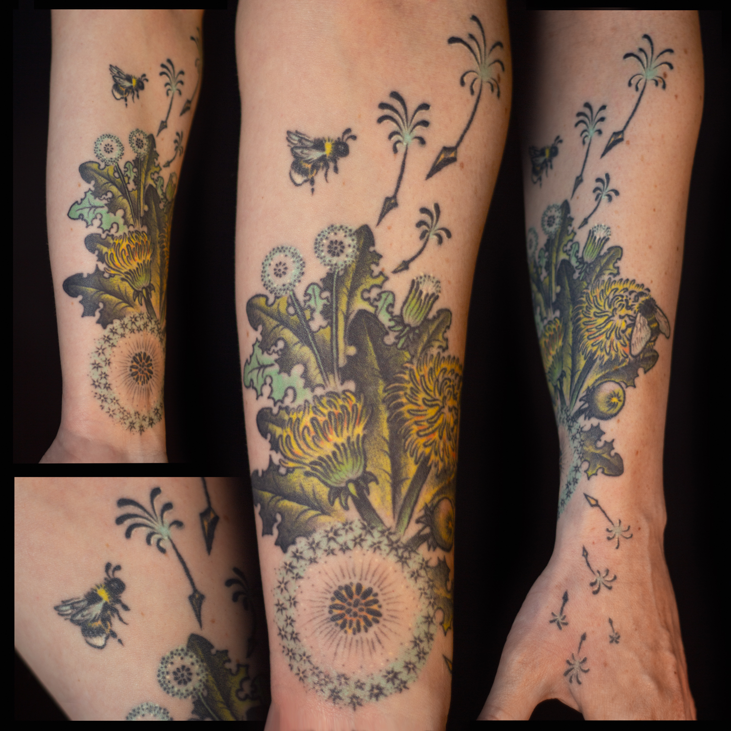 Dandilion_watermark_square